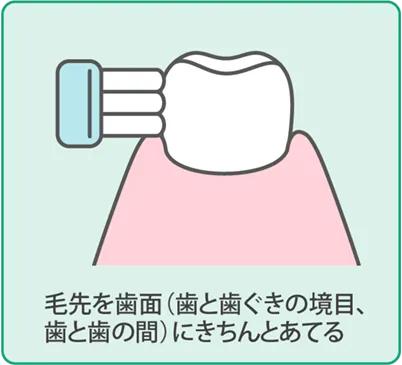 歯磨きの基本手順１