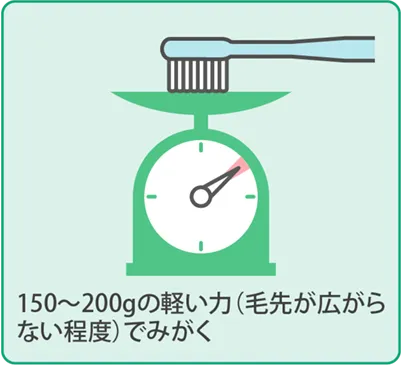 歯磨きの基本手順２
