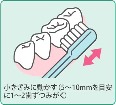 歯磨きの基本手順３