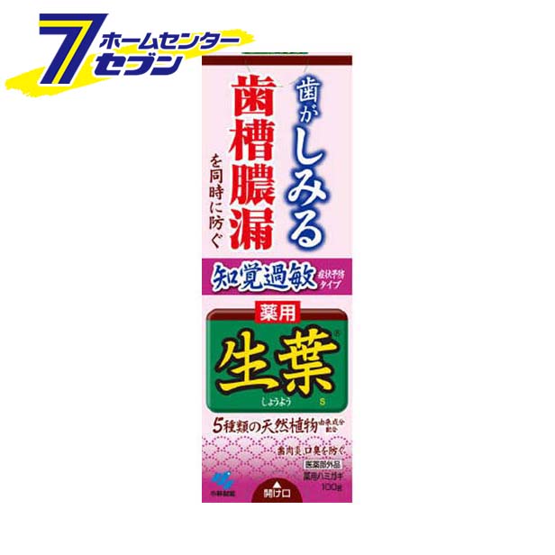 生葉(しょうよう) 知覚過敏症状予防タイプ 歯槽膿漏を防ぐ 薬用ハミガキ ハーブミント味 100g 小林製薬 [生葉 歯磨き 歯みがき 口臭予防 ]