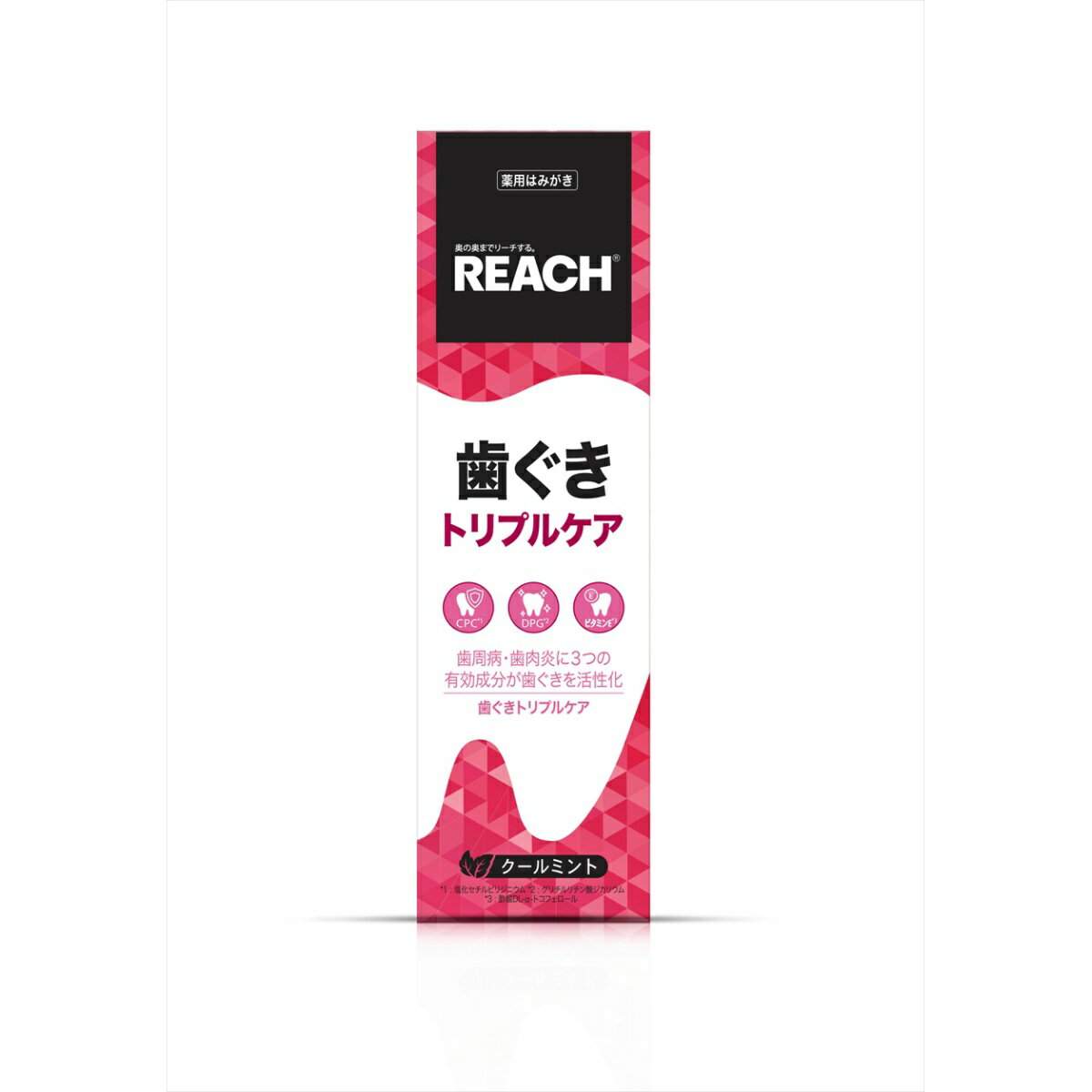 【送料込】銀座ステファニー リーチ 歯ぐき トリプルケア 歯みがき 120g 1個