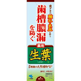 小林製薬　薬用　生葉(しょうよう)　薬用ハミガキ　100g