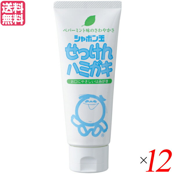 歯磨き粉 はみがき 子供 シャボン玉 せっけんハミガキ 140g 12個セット 送料無料