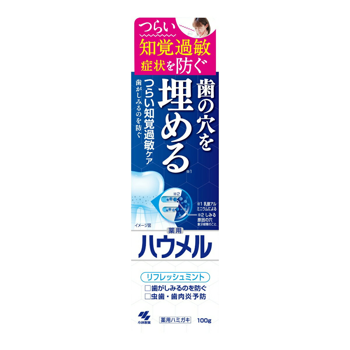 【今月のオススメ品】小林製薬 ハウメル リフレッシュミント 100g 薬用ハミガキ