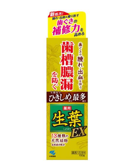 【送料無料！】生葉EX100G 歯磨き粉 歯みがき粉 口臭予防 歯みがき粉 ハミガキ 歯垢除去 ハミガキ粉 歯 白く　※こちらの商品の販売数は1個です。